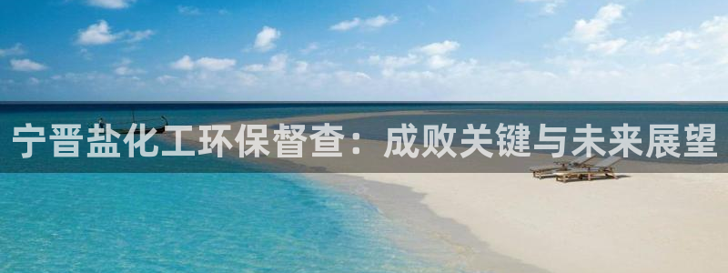 亿万先生客户端官网首页：宁晋盐化工环保督查：成败关键与未来展望