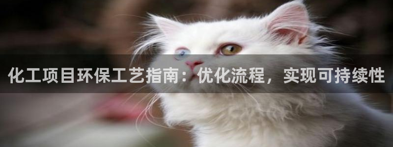 亿万先生官方客服：化工项目环保工艺指南：优化流程，实现可持续性