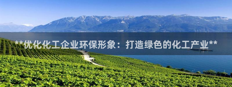 亿万第一季字幕：**优化化工企业环保形象：打造绿色的化工产业**