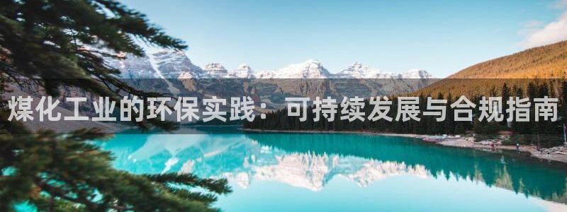 亿万先生手机版入口在哪看：煤化工业的环保实践：可持续发展与合规指南