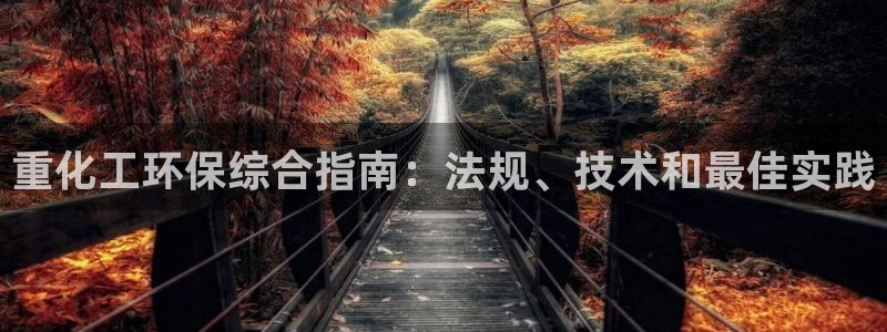亿万乐购生活超市：重化工环保综合指南：法规、技术和最佳实践