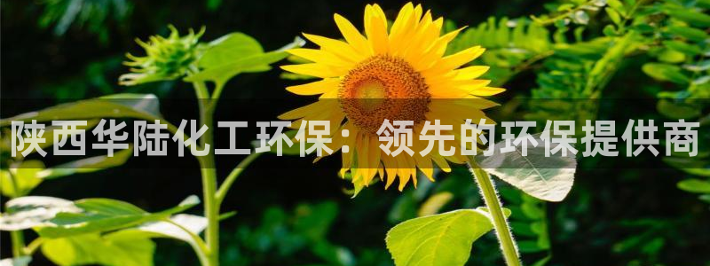 亿万首富游戏破解版无限钻石：陕西华陆化工环保：领先的环保提供商