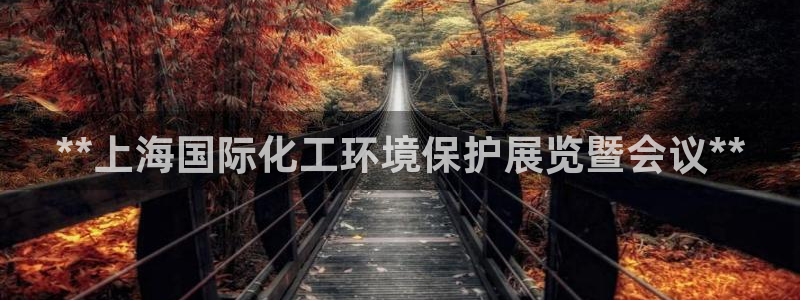 亿万网友在线实时为您解答问题：**上海国际化工环境保护展览暨会议**