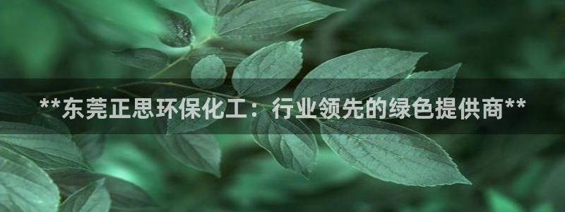 亿万下载第三季：**东莞正思环保化工：行业领先的绿色提供商**