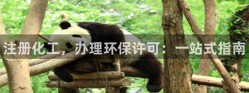 亿万先生网站：注册化工，办理环保许可：一站式指南