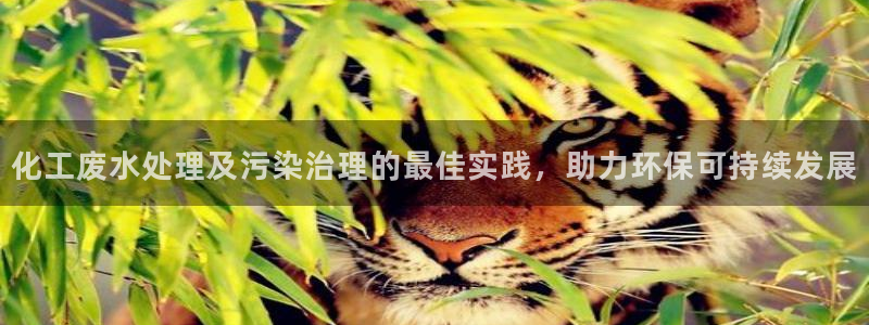 亿万先生官方网站客户端下载安装：化工废水处理及污染治理的最佳实践，助力环保可持续发展