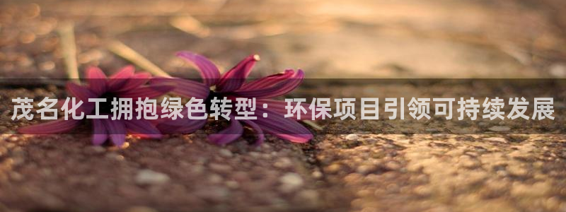 亿万先生网页在线客服：茂名化工拥抱绿色转型：环保项目引领可持续发展