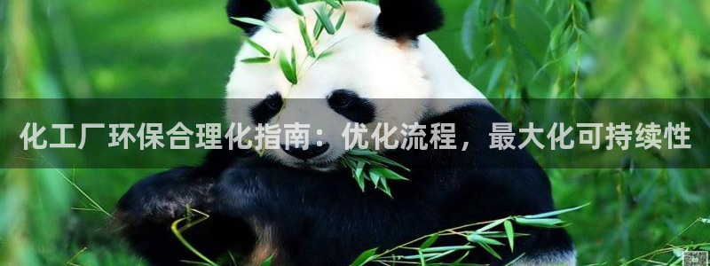 亿万先生合并网址是什么：化工厂环保合理化指南：优化流程，最大化可持续性