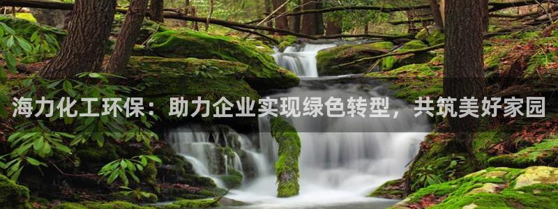 亿万先生mr01官网 - 亿万先生手机版入：海力化工环保：助力企业实现绿色转型，共筑美好家园