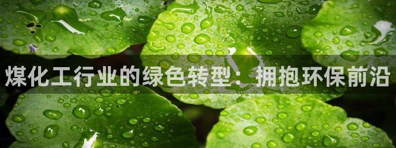亿万先生手机版客户端下载安装：煤化工行业的绿色转型：拥抱环保前沿