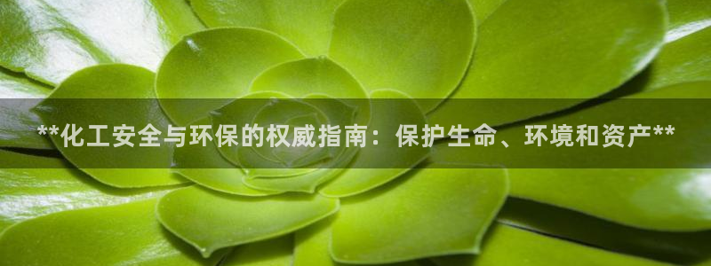 亿万先生客户端官网登录入口：**化工安全与环保的权威指南：保护生命、环境和资产**