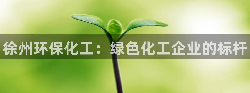 亿万先生客户端官网登录不了：徐州环保化工：绿色化工企业的标杆