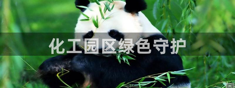亿万先生官方网站客户端下载安装手机版：化工园区绿色守护
