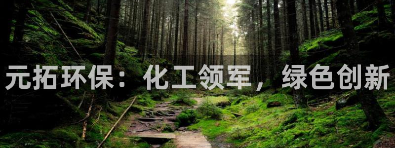亿万先生充电桩：元拓环保：化工领军，绿色创新