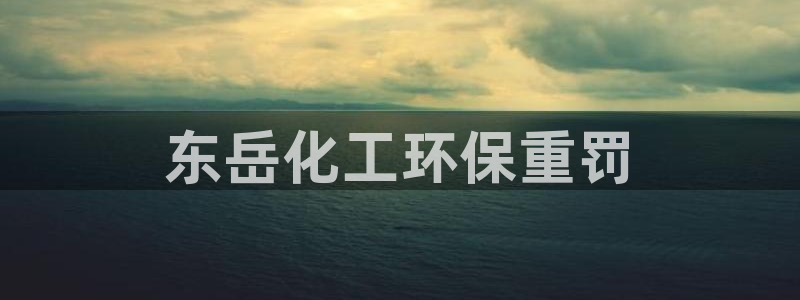 亿万先生游戏：东岳化工环保重罚