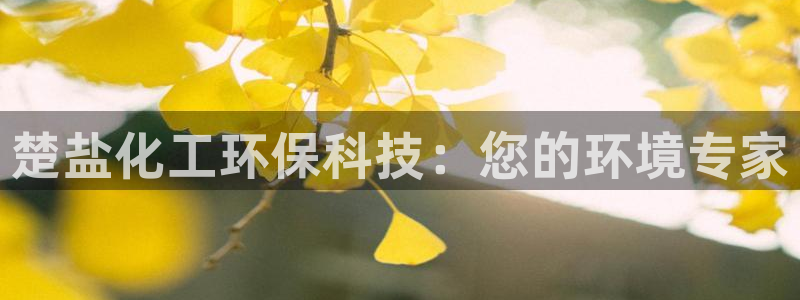 亿万客户端：楚盐化工环保科技：您的环境专家