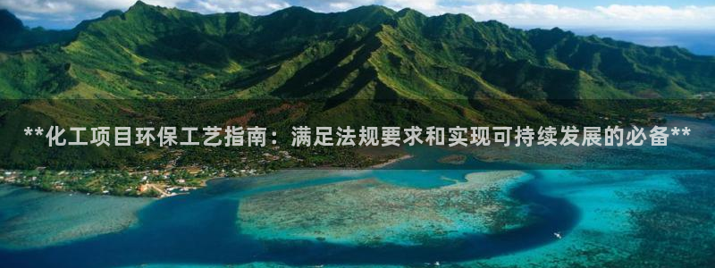 亿万剧情介绍：**化工项目环保工艺指南：满足法规要求和实现可持续发展的必备**