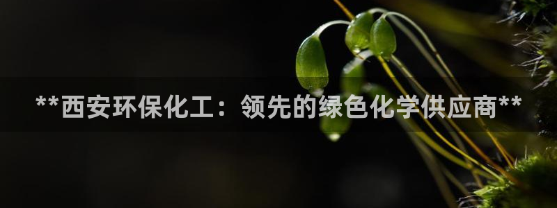 亿万下载徐家汇朋友圈说说：**西安环保化工：领先的绿色化学供应商**