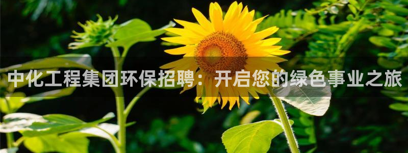 亿万先生手游下载官网：中化工程集团环保招聘：开启您的绿色事业之旅
