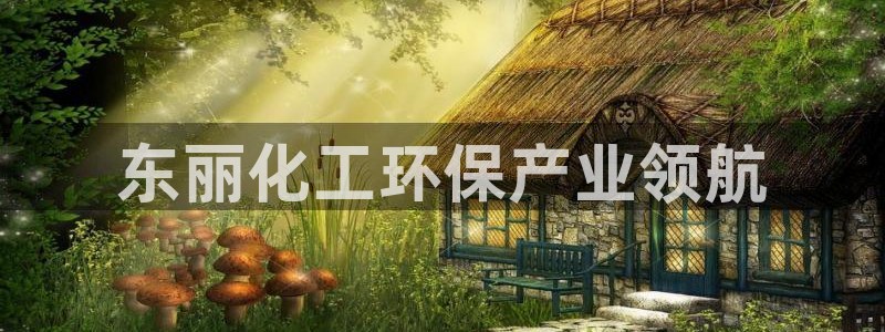 亿万先生客服：东丽化工环保产业领航