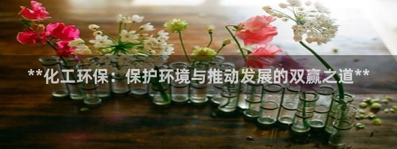 亿万先生官方网站下载：**化工环保：保护环境与推动发展的双赢之道**