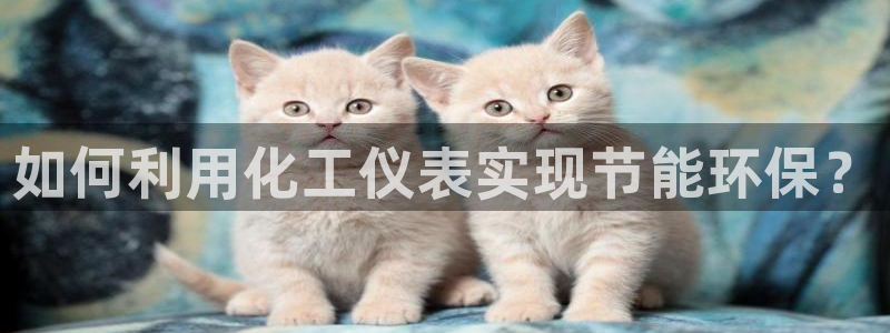 亿万先生情侣车有什么用：如何利用化工仪表实现节能环保？