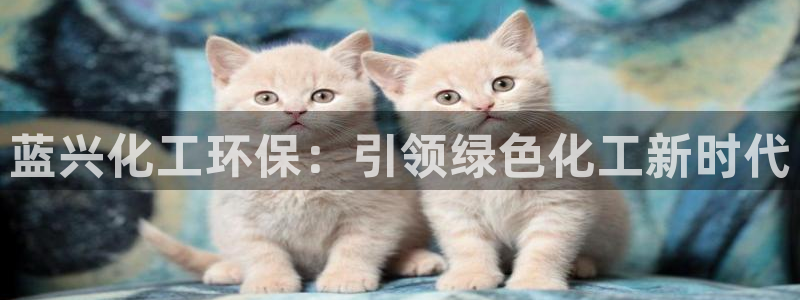 亿万先生充电桩：蓝兴化工环保：引领绿色化工新时代