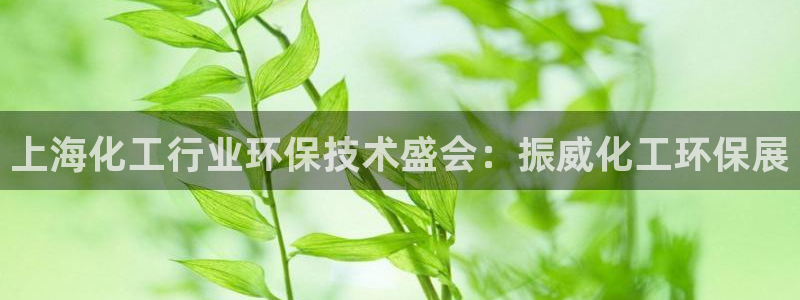 亿万先生用什么客户端：上海化工行业环保技术盛会：振威化工环保展