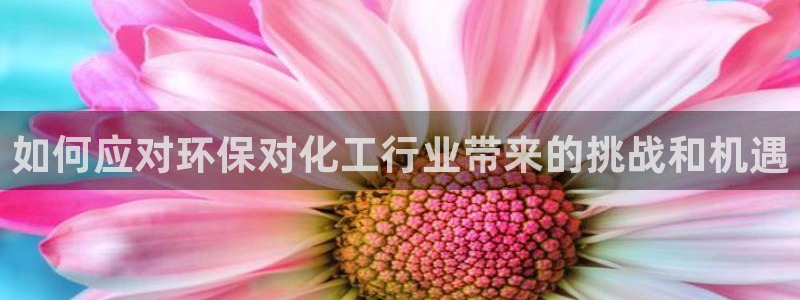 亿万先生MR - 亿万先生mr008cc：如何应对环保对化工行业带来的挑战和机遇
