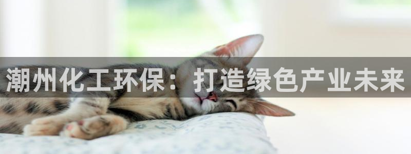 亿万先生手机版客户端下载官网：潮州化工环保：打造绿色产业未来