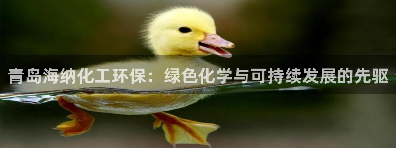 亿万万作者：青岛海纳化工环保：绿色化学与可持续发展的先驱