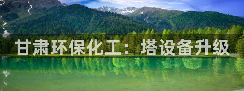 亿万先生手机版入：甘肃环保化工：塔设备升级