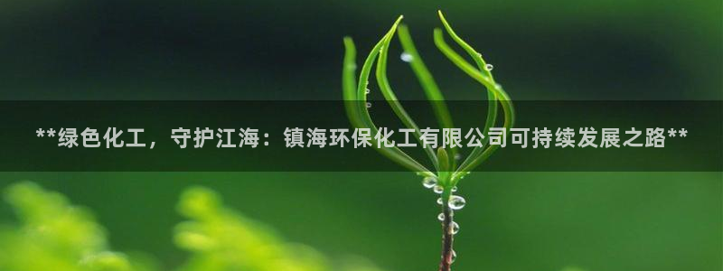 亿万的亿：**绿色化工，守护江海：镇海环保化工有限公司可持续发展之路**