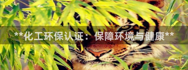 亿万第一集：**化工环保认证：保障环境与健康**