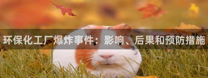 亿万先生网站：环保化工厂爆炸事件：影响、后果和预防措施