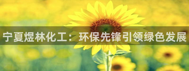 亿万问答：宁夏煜林化工：环保先锋引领绿色发展