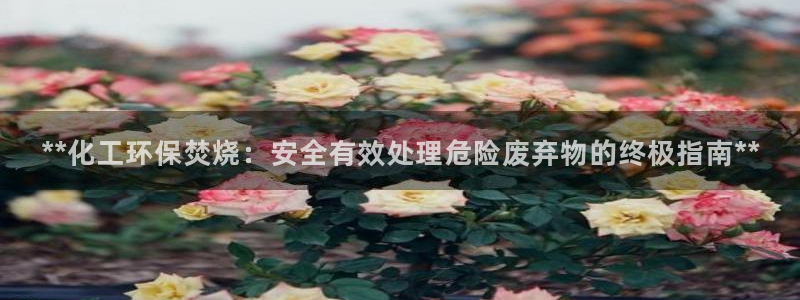 亿万先生客服联系方式：**化工环保焚烧：安全有效处理危险废弃物的终极指南**