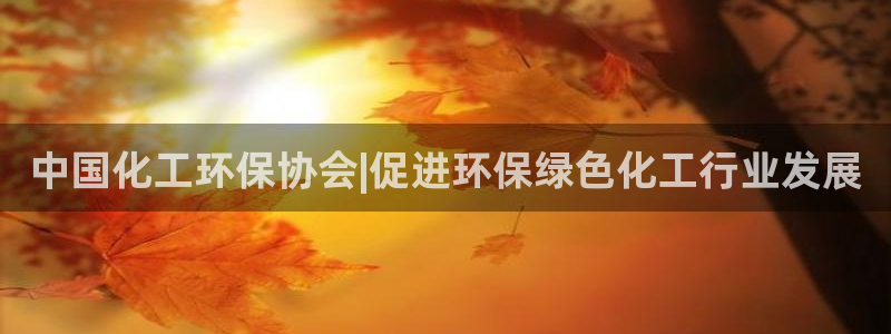 亿万先生mr07：中国化工环保协会|促进环保绿色化工行业发展