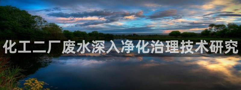 亿万客户端：化工二厂废水深入净化治理技术研究