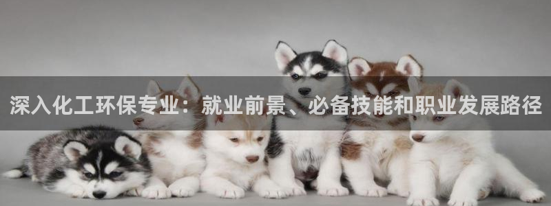 亿万解析：深入化工环保专业：就业前景、必备技能和职业发展路径