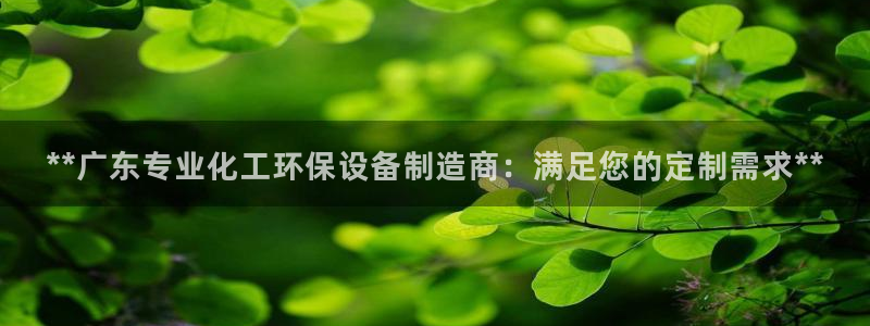 电影亿万：**广东专业化工环保设备制造商：满足您的定制需求**