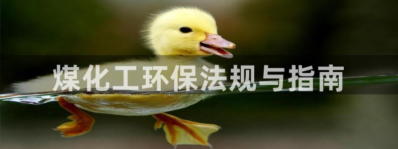 亿万先生手机网：煤化工环保法规与指南
