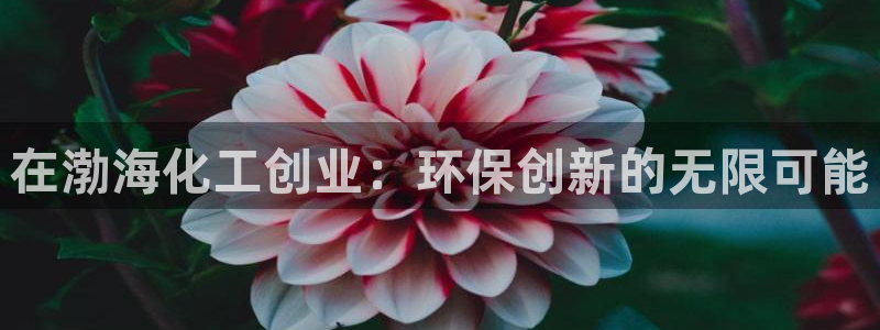 亿万国际合法吗：在渤海化工创业：环保创新的无限可能