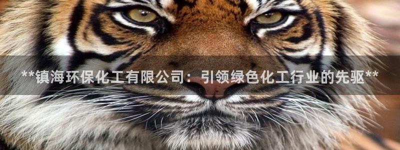 亿万客户端：**镇海环保化工有限公司：引领绿色化工行业的先驱**