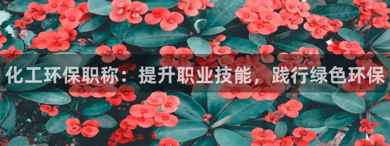 亿万先生MR - 亿万先生mr008cc：化工环保职称：提升职业技能，践行绿色环保