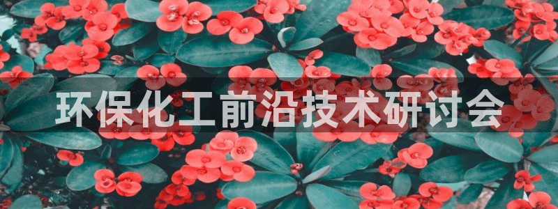 亿万28下载地址：环保化工前沿技术研讨会