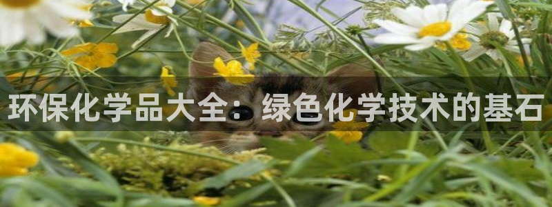 亿万钱包app下载：环保化学品大全：绿色化学技术的基石