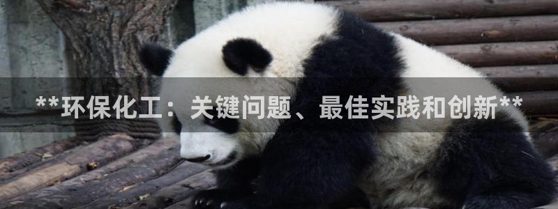 亿万先生首页：**环保化工：关键问题、最佳实践和创新**