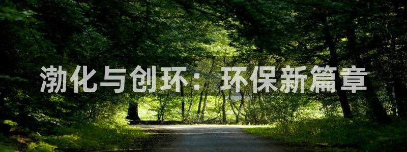 亿万首富游戏：渤化与创环：环保新篇章