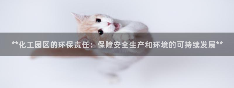 亿万先生手游下载安装：**化工园区的环保责任：保障安全生产和环境的可持续发展**